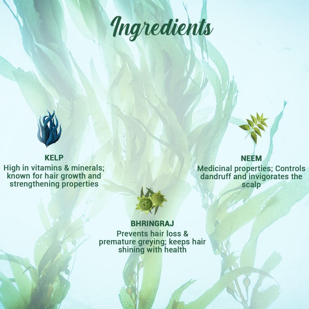 Biotique Ocean Kelp Шампунь против выпадения волос Интенсивная терапия для роста волос 340мл
