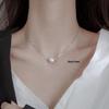 2025 Women's Chic Light Luxury Collarbone Chain: Elegant Ins Style Choker