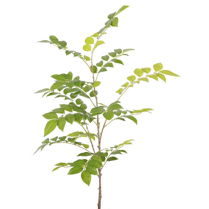 Large Yellow Rosewood Tree with Leaves - Ornamental Display for Hotel or Window Scene