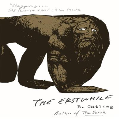 The Erstwhile by Brian Catling Paperback Book 9781473636408