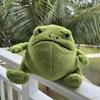 New 20cm Doll Rain Frog Plush Toy Cartoon Frog Doll Toy Children's Gift