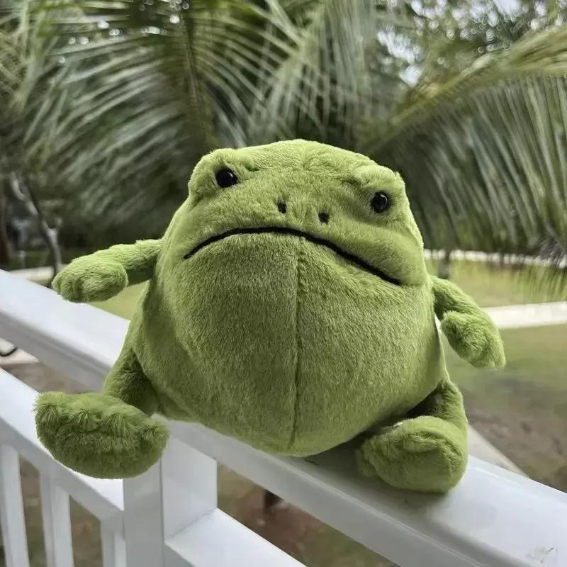 New 20cm Doll Rain Frog Plush Toy Cartoon Frog Doll Toy Children's Gift