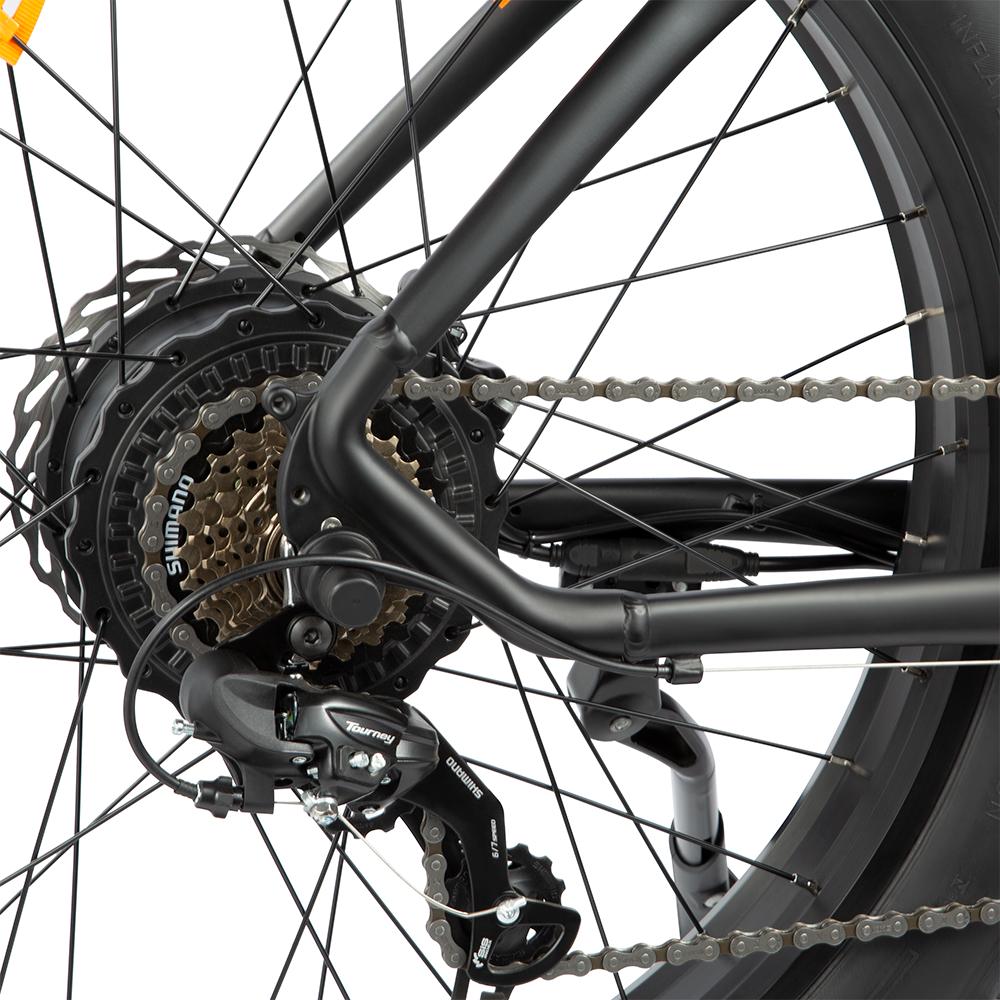 DYU King 750 Adult All-Terrain Electric Bicycle 26 Inch Tires Electric Bike 750W Motor 48V20AH Battery Urban Outdoor E-Bike