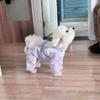 Lightweight Dog Leg Cover Pants Small Breeds Walk Protection Dust Insect Repellent Four-Legged Pet Clothing