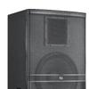 Runpu Professional Dual 15-inch Passive Conference Speaker (CN version)