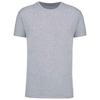 Mens BIO150IC Crew Neck T-Shirt
