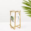 Ornament Plants Frame Hydroponic Vase Terrarium Metal Holder Glass Planter Iron Geometric Pattern