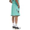 Jordan X Шорты NBA Charlotte Hornets Player Edition Мужские шорты Мятно-зеленый FQ4400-356