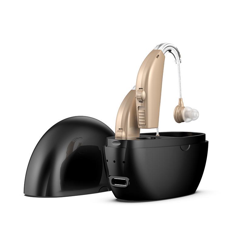 Rechargeable Behind-the-Ear Hearing Aid with Charging Case & Accessories for Seniors.