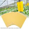 50Pcs Double Sided Mosquito Glue Board Traps Pest Sticky Board Fly Insects Catcher Killer