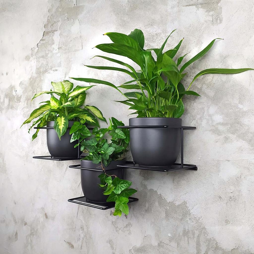 Jungle Hanging Wall Flower Stand, Modern Metal Holder for 3 Pots, Black, Horizontal