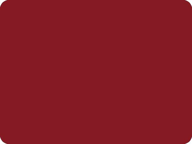 FLY COLOR ACRYLIC SPRAY VARNISH RAL 3003 RUBY RED GLOSS 400ml