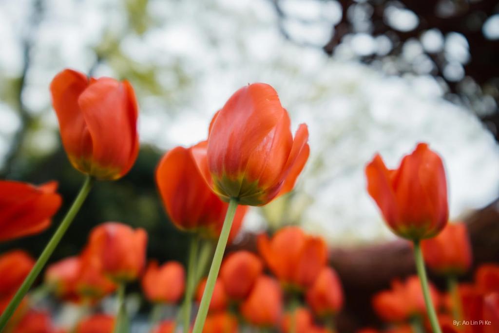 7artisans AF 24mm Sony Prime Large STM 7artisans F/1.8 E-mount E-compatible Full-Frame Lens, Autofocus, Aperture, Wide-Angle Lens, Indoor/Landscape