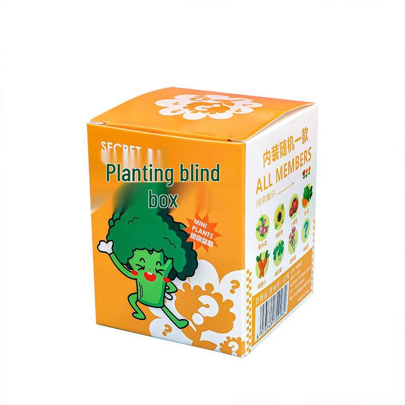 Surprise Box Potted Plant Gift for Kids - Perfect for School Rewards, Graduations, and Birthdays