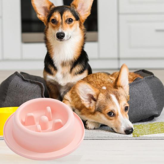 Миска для кормления домашних животных Нескользящая Легко чистящаяся Безопасная защита от удушья Кормушка для кошек и собак Миска для медленной еды Товары для домашних животных