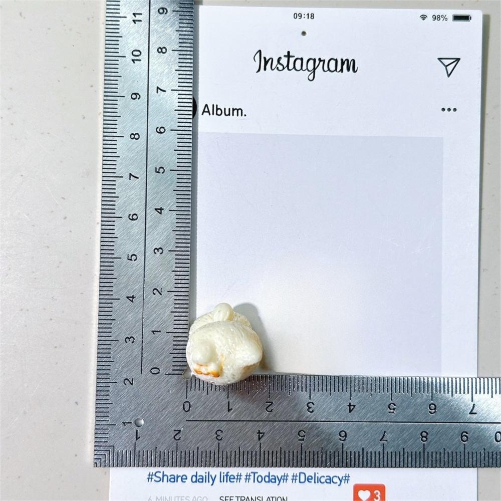 Cartoon Cute Dashboard Accessories Mini Cat Resin Garden Miniature Handicraft Accessories DIY