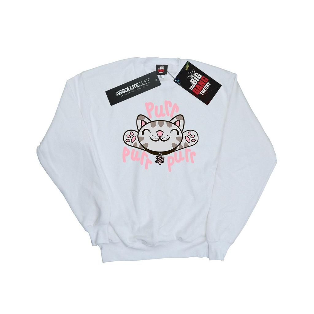 Big Bang Theory Womens/Ladies Soft Kitty Purr Sweatshirt