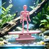Air Pump Powered Surfing Dancing Skeleton Aquarium Bubbler  Fish Landscaping