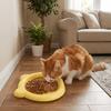 Plastic Cat Food Plates Food Grade Pet Snack Dish Lightweight Kitten Bowl  Daily Use