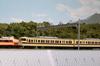 KATO N Gauge 117 Series Limited Express Set Model Train 6-Car 10-1607