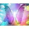 Полный круглый алмаз картина бабочка вышивка крестиком Алмазная вышивка животные стразы фотографии ремесленные изделия 30x40 см/12x16 дюймов