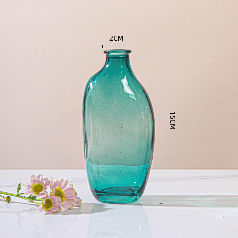 Irregular Glass Vase for Hydroponic Plants - Small Decorative Holder for Living Room Flower Arrangements