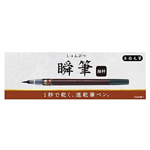 Pilot Brush Pen, Instant Brush, Quick Dry, Authentic Brush, Pigment, Fine Point, Black SVSG80FDFB