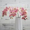 Realistic feel simulation Phalaenopsis hotel tape artificial flower ornament home, Phalaenopsis simulation flower