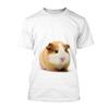 Summer Fashion Men Cute T-shirt Comfortable Couple 3d Printing Animal Guinea Pig Funny Picture Casual Street Tops