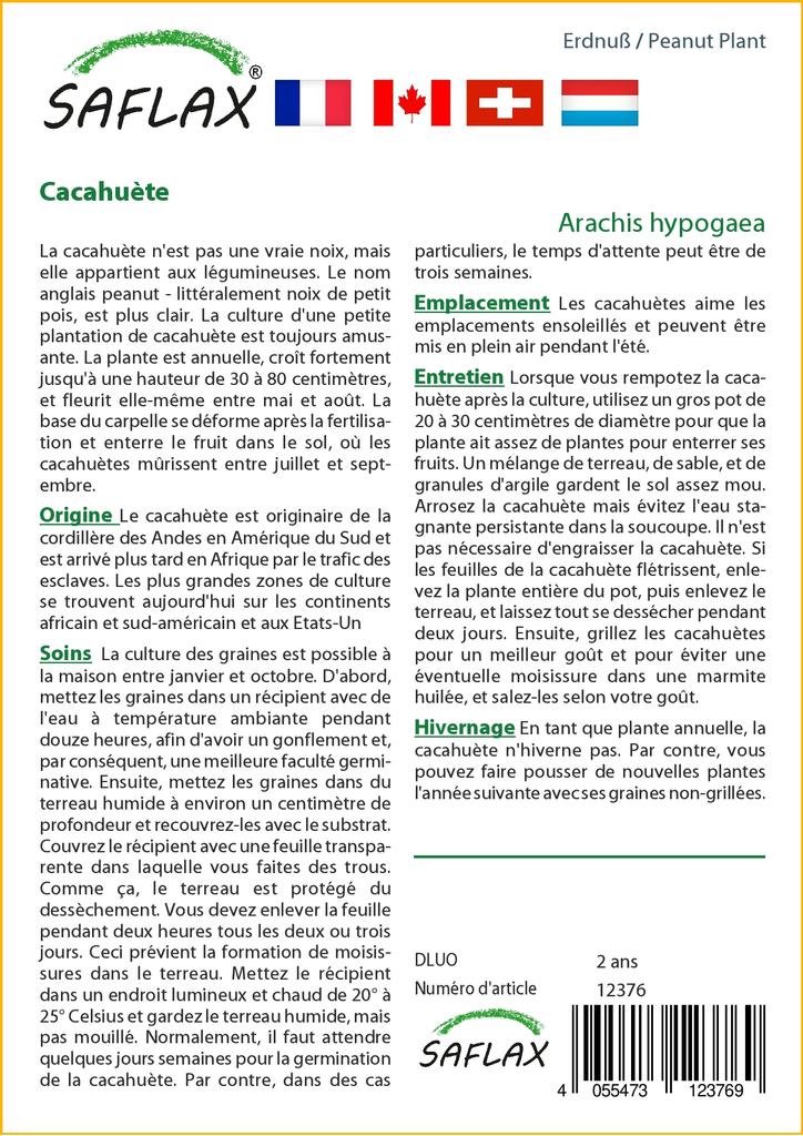 SAFLAX Арахисовое растение - 8 семян - Arachis hypogaea