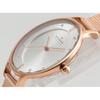 SKAGEN ANITA Series Women's Wrist Watch SKW2151 SKW2673 SKW2149 SKW2720 SKW2718 Gift Casual Business Sports Student