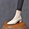 2025 New Spring and Summer Women's Shoes Pointed Thick Heel Soft Leather Single Shoes Brown Ladyshoes Grandma Shoes Middle Heel Shoes
