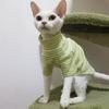 Elastic Hairless Cat Base Shirt Soft Cat Striped Jumpsuit Sphynx Cat Clothes  for Cats Kitten
