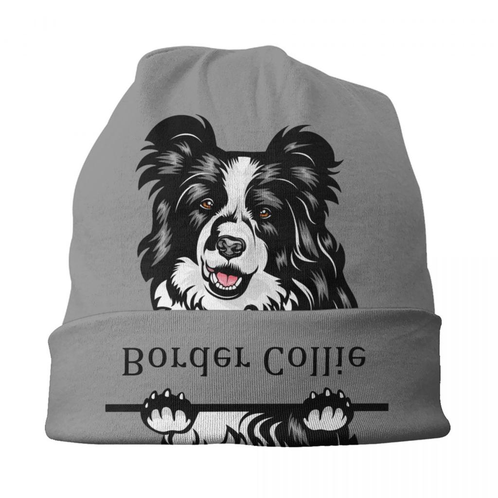 Шапки с капюшоном для собак бордер-колли, вязаная шапка в стиле хип-хоп для женщин унисекс, зимние теплые шапки с черепами для домашних животных, шапки с черепами