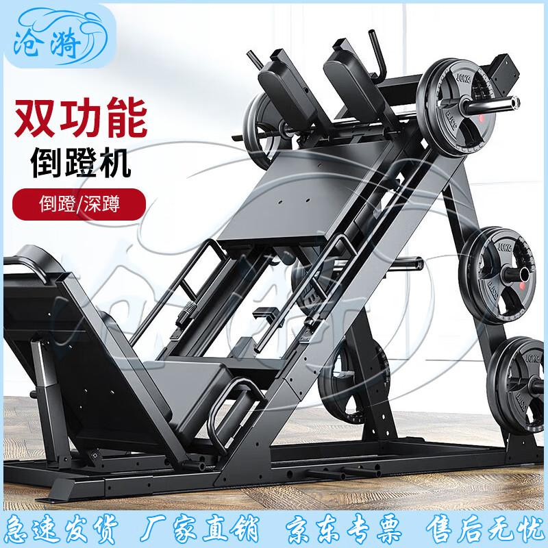 45-Degree Leg Press and Squat Machine