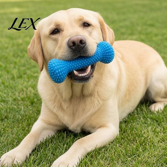 Dog Calculus Remover Tooth Brushing Helper, Pet Dental Prop Chewable Toy, Dual-Action Canine Oral Durable Chew Toy for Dogs Care Tool Cleaning Teeth,