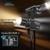 NANLITE Forza 60B II Двухцветный светодиодный свет для фотографии