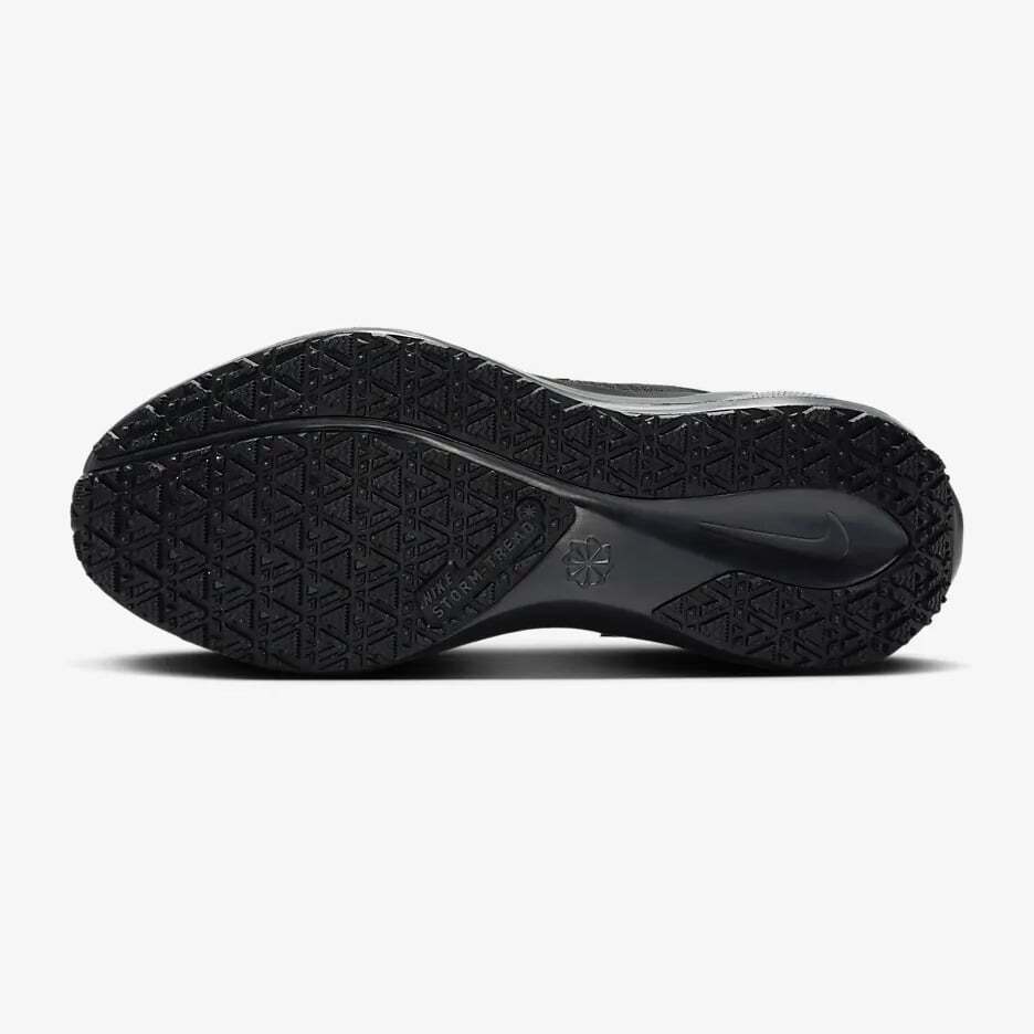 FQ1357-001 Nike Pegasus 41 GORE-TEX Черный Антрацит (Женский)