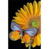 5D DIY Алмазная картина Подсолнух Бабочка Алмазная вышивка Животное Домашний декор Мозаика Цветы ручной работы