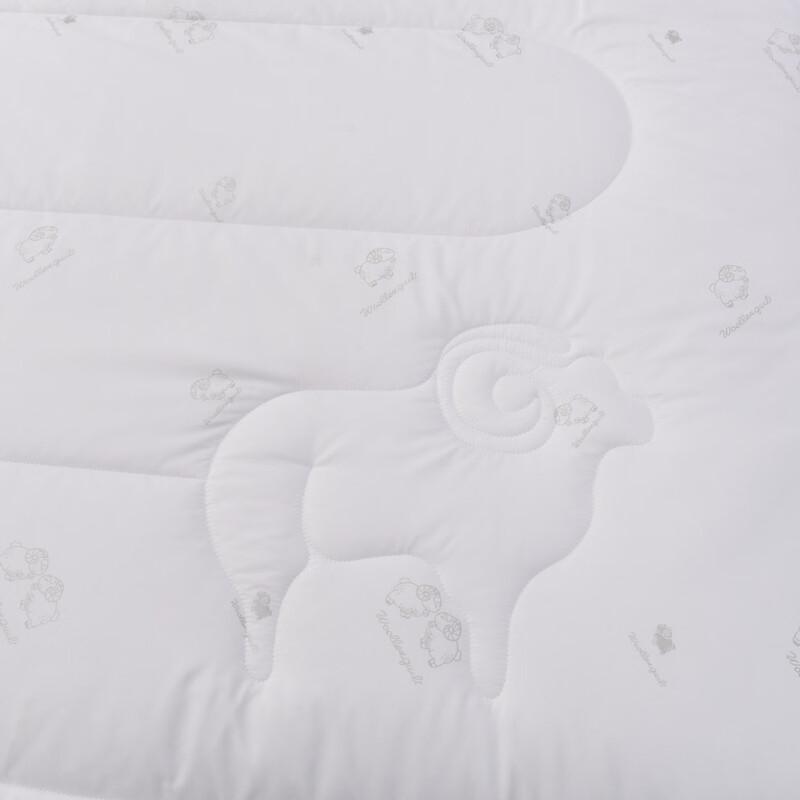 Plover Soft & Fluffy Polyester Winter Quilt
