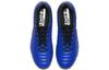 Nike Tiempo Legend 7 Elite Ag Pro 'Всегда Вперед' AH7423-400
