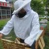 Breathable Bee Clothes Safty Anti-bee Bite Equipment Bee Keeping Top  For Outdoor Garden