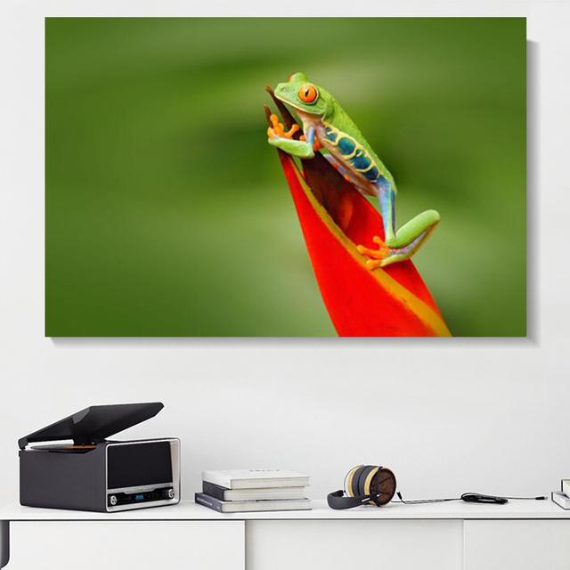 Картина на холсте с животными, древесная лягушка, смеющиеся постеры и принты, пейзаж, настенные художественные фотографии для гостиной, домашний декор, без рамки