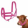 Heavy Duty Cow Halter with Lead Adjustable Livestock Strap Horse Halter  Grassland Riding