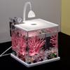 Mini Ultra-White Glass Fish Tank with Rose Light - Transparent Betta Tropical Fish Eco-Tank