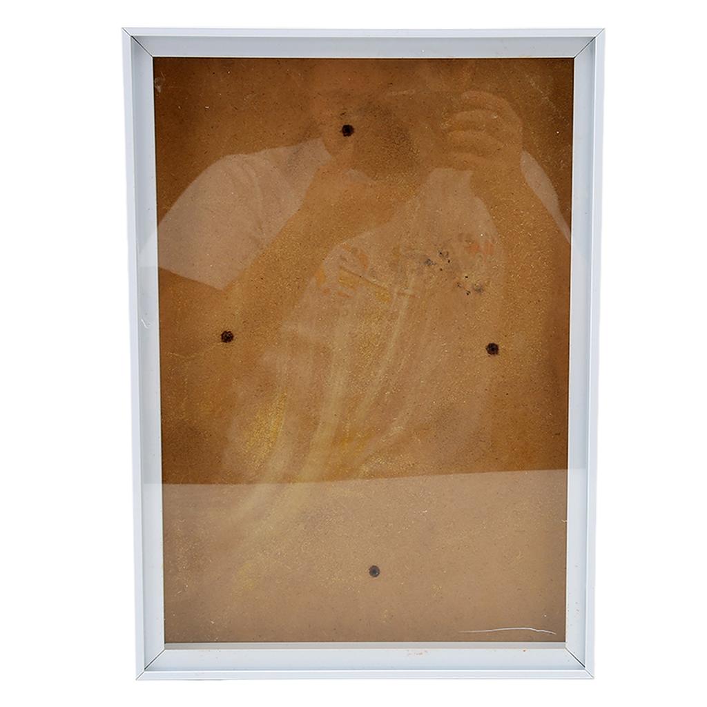 Picture Frame with Bracket sy to Disassemble Plastic Decorative Photo Frame for Dried Flowers Shells