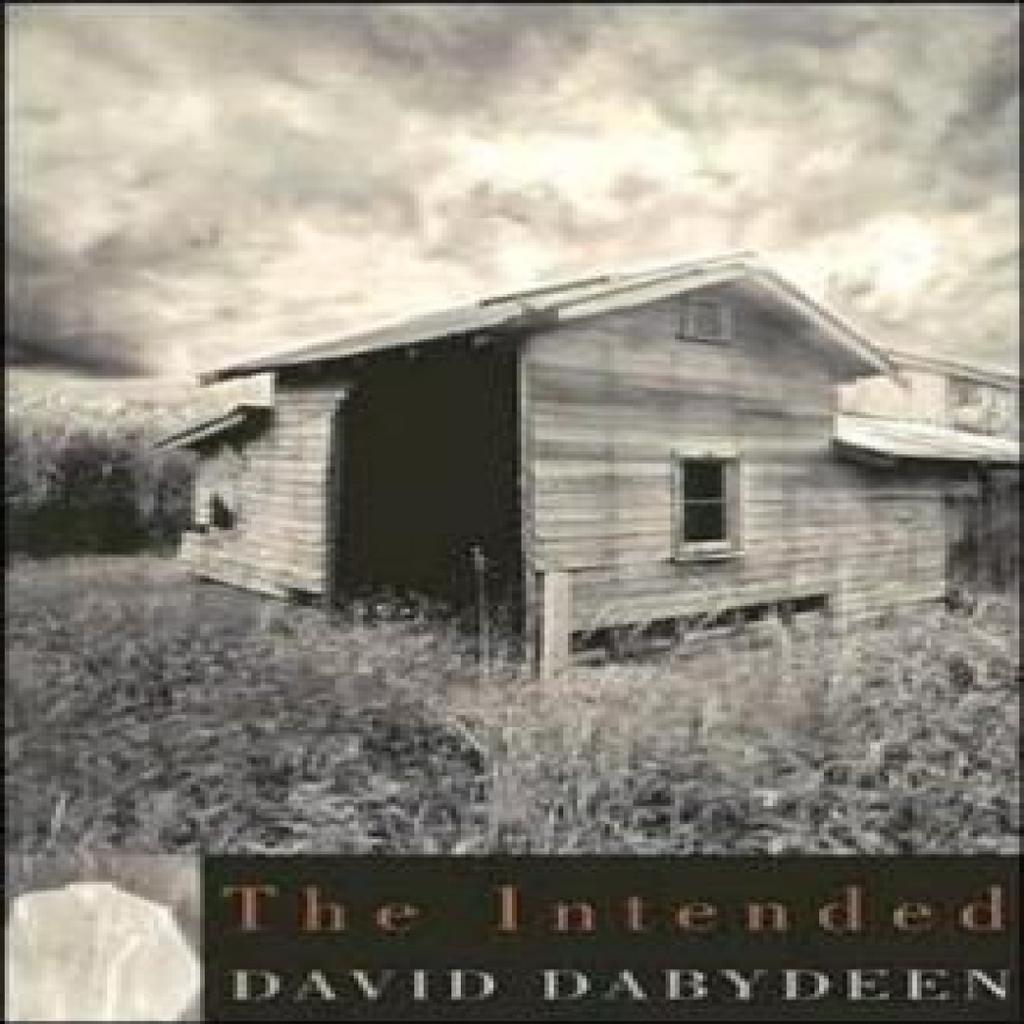 The Intended by David Dabydeen Paperback Book 9781845230135