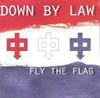CD DOWN BY LAW Fly the Flag GOK053 GoKart Records 1999 Не Япония Рок Б/у