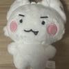 PLAVE Unofficial Goods Eunho Doll Amhyungae