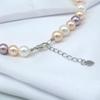 Women's Necklace 8mm Colored Shell Pearl Necklace Round Ocean Mother of Pearl Necklace Highlight Short Necklace
